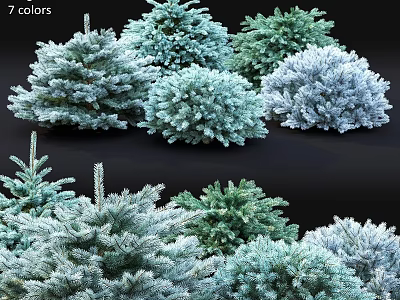 7 Colors Assorted Garden Plants Decoration Ideas With Natural Green And Blue Foliage 3d model