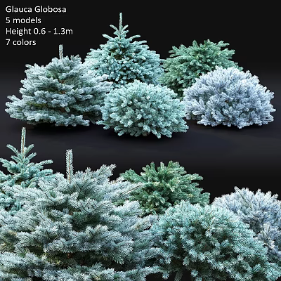 7 Colors Assorted Garden Plants Decoration Ideas With Natural Green And Blue Foliage 3d model