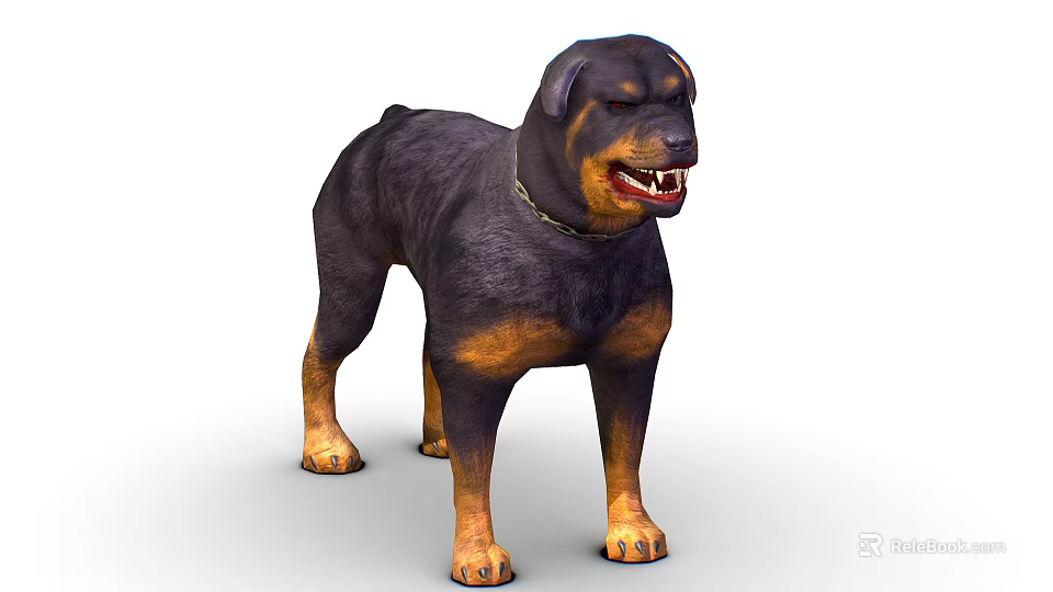 Black and Tan Rottweiler Dog With Chain Collar Standing In Fierce Expression 3d model 