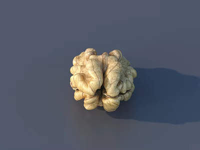 Natural Stone And Wood Decorative Piece With Textured Surface And Earthy Tones 3d model