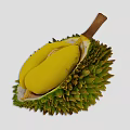 Fresh Ripe Durian Fruit Cut Open Showing Yellow Flesh And Green Spiky Shell