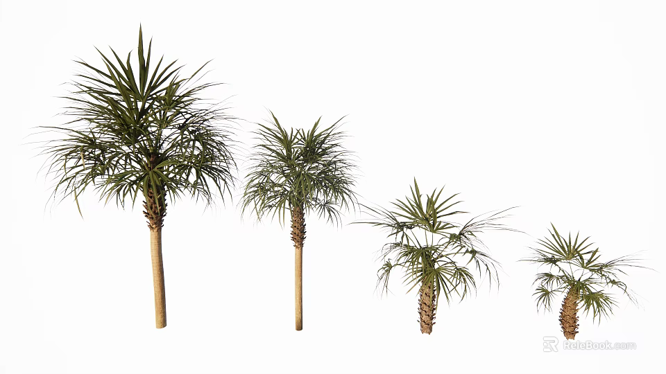 Palm Trees of Different Sizes Standing in a Row with Green Fronds 3d model 