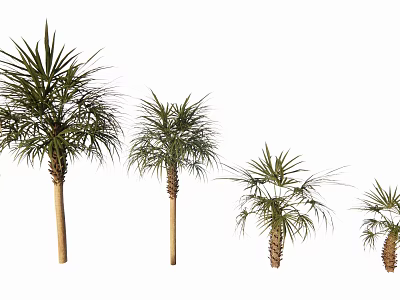 Palm Trees of Different Sizes Standing in a Row with Green Fronds 3d model