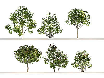 Various Shaped Trees Featuring Leafy Crowns Multiple Trunks And Lush Green Foliage 3d model