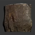 Natural Rustic Wooden Stone Tree Stump Stool With Bark Texture And Rough Solid Surface