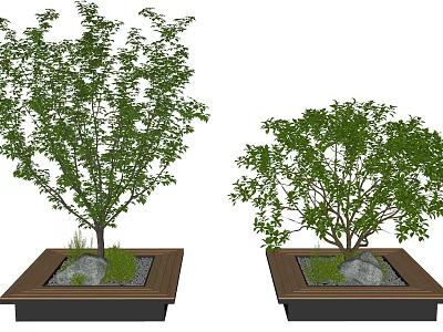 Two Square Tree Planters with Healthy Green Trees Stones and Small Plants 3d model