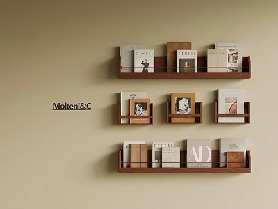 Modern Wooden Bookshelf Interior With Books Decorative Frames And Molteni&C Design 3d model