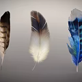 Feather Decorative Ornament Set With Brown Beige And Blue Watercolor Designs For Home Decor