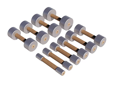Various Sizes Metal Dumbbells With Wooden Handles For Fitness Training 3d model