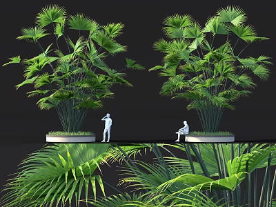 Bamboo Garden Landscape With Lush Green Foliage And People Standing Sitting 3d model
