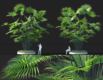 Cluster Palm Shrub Tree Pond Flower-bed Group Sits Home Entrance Door Landscape 3d model
