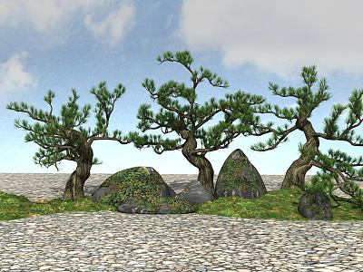 Modern pine landscape tree 3d model