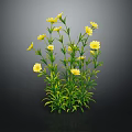 Vibrant Plant Featuring Lush Green Leaves And Several Bright Yellow Flowers