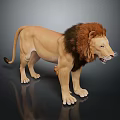 Realistic Lion With Brown Mane Standing On Dark Reflective Surface