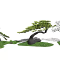 Modern pine tree landscape sketch pine stone 3d model