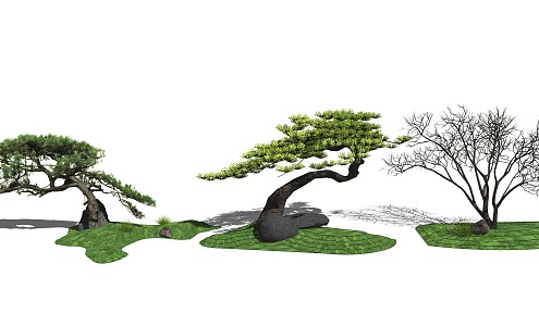 Modern pine tree landscape sketch pine stone 3d model