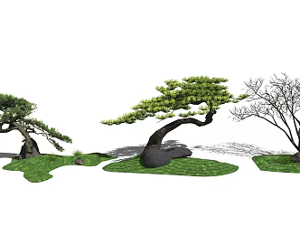 Modern pine tree landscape sketch pine stone 3d model