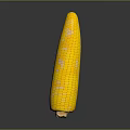 Fresh Yellow Sweet Corn Cob With Juicy Kernels As Healthy Natural Food Choice