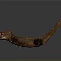 Detailed Realistic Brown Lizard With Long Tail Scales Open Mouth Yellow Eyes On Dark Background