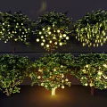 Decorative Lights Hanging On Trees With Glowing Spherical And String Light Designs 3d model