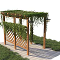 Lush Vines Covering Wooden Garden Pergola With Lattice Structure And Green Grass
