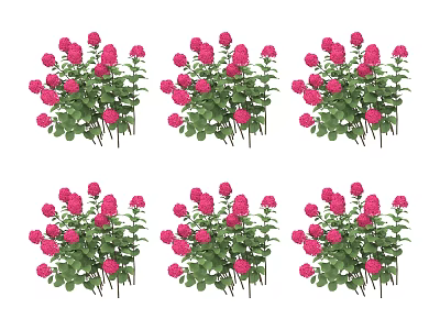 Neatly Arranged Pink Roses In Flower Bushes With Green Leaves For Garden Decor 3d model