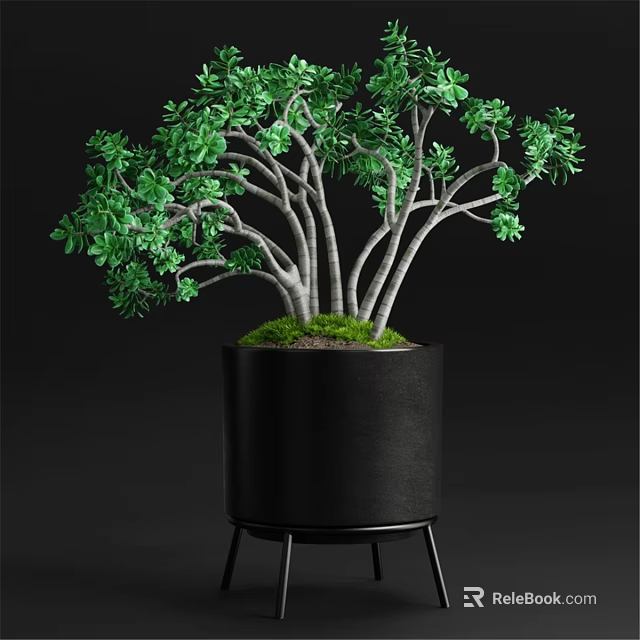 Decorative Ornament Set With Green Leafy Plant In Black Pot On Metal Stand 3d model 
