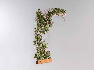 Climbing Vines With Pink Flowers Growing On Grid Structure And Wooden Planter 3d model