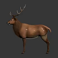 Brown Deer With Large Antlers Standing On White Background 3d model
