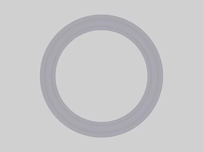 Concentric Circular Lines Design on Simple Gray Background 3d model