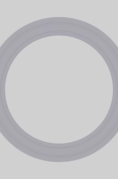 Concentric Circular Lines Design on Simple Gray Background 3d model