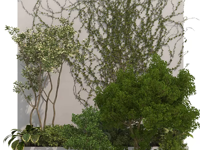 Lush Green Plant Wall With Climbing Vines Shrubs And Various Greenery 3d model