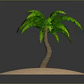 Vibrant Green Palm Tree With Lush Leaves Standing On Isolated Sandy Surface