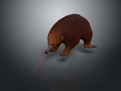 Brown Wombat Like Game Character Chasing Red Laser Pointer On Gray Surface 3d model