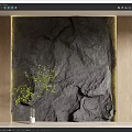 Gray Rock Texture Background Wall With Gold Frame And Green Plant In White Vase