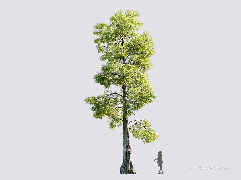 Tall Arbor With Lush Green Foliage And Human Figure For Size Reference 3d model 
