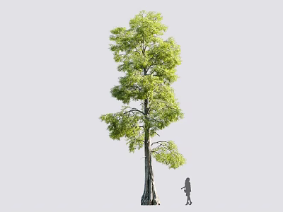 Tall Arbor With Lush Green Foliage And Human Figure For Size Reference 3d model