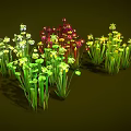 Colorful Venus Flytrap Plants With Green Yellow Red Leaves And Various Shapes On Dark Background