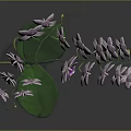 Lovely Purple Orchid Plant With Lush Green Leaves And Purple Flowers In Gray Pot