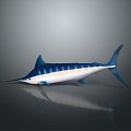 Northern bluefin tuna albacore tuna yellowfin tuna blackfin tuna 3d model