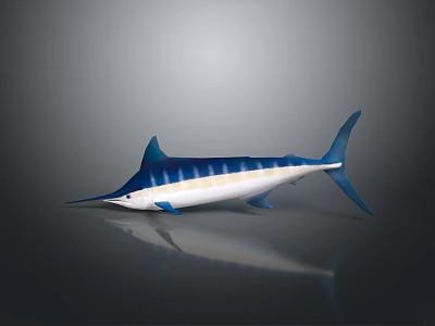 Blue and White Aquatic Animal With Long Bill Streamlined Body And Dorsal Fins 3d model