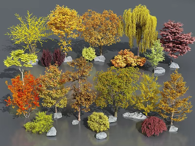 Various Shaped Trees with Yellow Orange Red Green Leaves and Small Stones Around 3d model