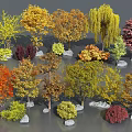 Various Shaped Trees with Yellow Orange Red Green Leaves and Small Stones Around