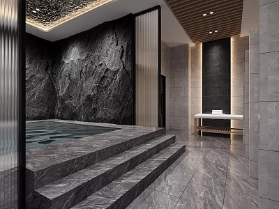 Modern SPA Sauna Space Featuring Stone Wall And Pool 3d model