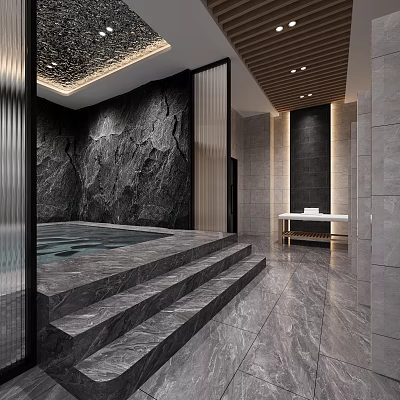Modern SPA Sauna Space Featuring Stone Wall And Pool 3d model