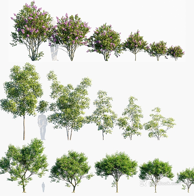 Various Arbor Species Displaying Green Leaves And Purple Flowers In Different Sizes 3d model 