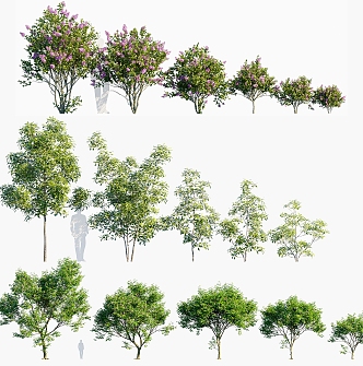 Modern Tree Landscape Tree Big Tree Green Tree Arbor Landscape Flower Tree 3d model