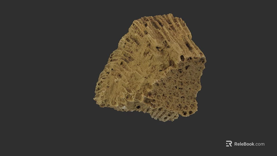 Botanical Painting with Earthy Yellow Honeycomb Texture and Striped Patterns on Dark Background 3d model 