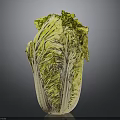Fresh Green and Yellow Cabbage with Crisp Leaves Healthy Food Option