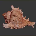 Detailed Animal Skin Organ With Thick Fur Hair And Natural Texture
